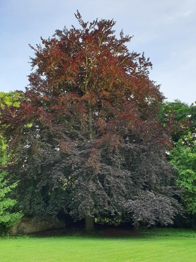 Copperbeech B&B Yoxford Esterno foto